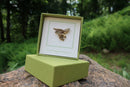 Falcon Gold Lapel Pin