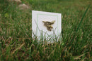 Falcon Gold Lapel Pin