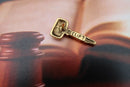 Gavel Gold Lapel Pin