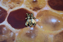 Honey Bee Gold Lapel Pin