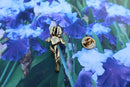 Iris Gold Lapel Pin