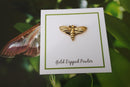 Moth Gold Lapel Pin