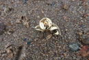 Rainbow Trout Gold Lapel Pin