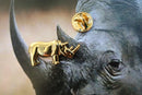 Rhinoceros Gold Lapel Pin