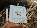 Sheriff Star Gold Lapel Pin