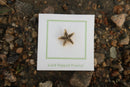 Starfish Gold Lapel Pin