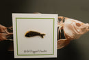 Fish Skeleton Gold Lapel Pin