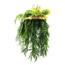 Artificial Hanging Plant Chandelier – Draping Fern Circular Ring (33in long) Gold Frame – UV Resistant