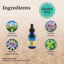 Good Night Herbal Sleep Tincture with Valerian and Passionflower 1 oz.
