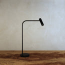 Goriti Table Lamp