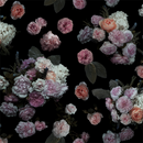 Rose Farm Wallpaper, black and pastel
