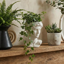 Greek Face Planter Statue | Home Office Table Top Decor Roman Figure | 6.5" x 6"