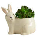 Green Rabbit Small Ceramic Planter | Cute Forest Bunny Shaped Succulents Flower Pot | 3" x 5"