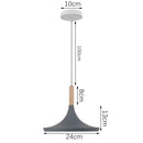 DecorBites™ Industrial Gray Pendant Light with LED for Living Room, Foyer - Modern Luminaire