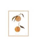 Oranges II