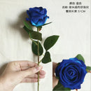 DecorBites™ Dried Roses Artificial Flowers for Home Decor and Weddings