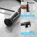 DecorBites™ LED Kitchen Faucet with Dual Spouts and Single Handle