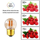 DecorBites™ G40 Edison LED Bulbs 2W E27 220V Warm White Filament Lamp for Home Garden Bar