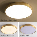 DecorBites™ Copper Thin LED Round Ceiling Light for Bedroom, Living Room, and Dining Room