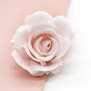 DecorBites™ Artificial Flowers: Home Decor, Wedding Decor, DIY Crafts, Event Decoration