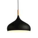 DecorBites™ Industrial Metal Pendant Ceiling Light Fixture for Modern Retro Kitchen Loft