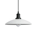 DecorBites™ Iron Dome Industrial Pendant Light for Cafe Bar Home Decor