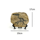 DecorBites™ Dinosaur Fossil Figurine: Retro Resin Animal Statue for Home Décor & Gifts