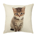 Cream cute cat face decorative cushion cover living room pillow