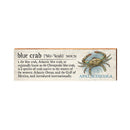 Blue Crab Apalachicola Definition | Wall Art Print on Real Wood