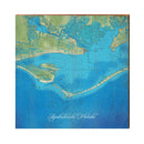 Apalachicola Topograhic Styled Map | Wall Art Print on Real Wood