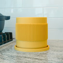 Half Mid-Century Ribbed Planter with Drainage and Saucer