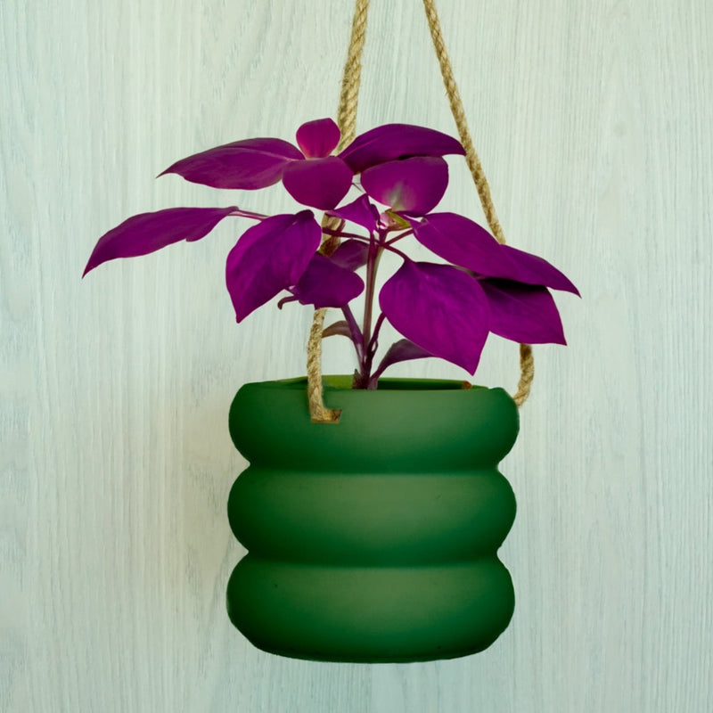 bubble hanging plant Hanging Bubble Plant Pot Rainbow / 4 Inch