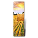 Golden Sunset Hay Bale | Wall Art Print on Real Wood