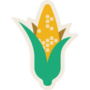 Ear of Corn Weather Resistant Sticker | HEARTlandia