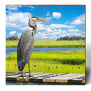 Sunny Marsh Heron | Wall Art Print on Real Wood