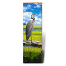 Sunny Marsh Heron | Wall Art Print on Real Wood