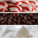 Candy Cane and Cocoa Soy Candle - Clear Jar - 9 oz (Hot Cocoa and Peppermint)