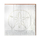 Sand Dollar Tide Sign | Wall Art Print on Real Wood