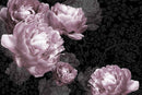 Contemporary Dark Floral Modern Wallpaper