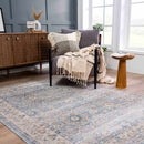 Anana Silver Blue & Beige Area Rug - Clearance