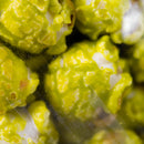 Dew Soda Popcorn | Pack of 6 | 7 oz | Shipping Included | HR Poppin' Snacks