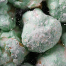 Key Lime Popcorn | Pack of 3 | 8 oz | HR Poppin' Snacks