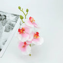 DecorBites™ Artificial Butterfly Orchid Bouquet Silk Flowers for Home Wedding Decoration Bouquet