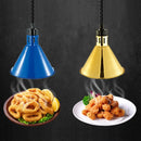 DecorBites™ 250W Electric Heat Lamp Food Preservation Pendant Light