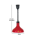 DecorBites™ 250W Electric Heat Lamp Food Preservation Pendant Light