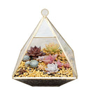 DecorBites™ Geometric Glass Vase for Succulents and Flowers