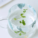 DecorBites™ Glass Coffee Mug 320ml Cute Squirrel Tea Cup Heat Resistant Beer Mug