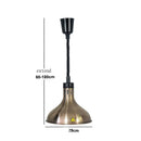 DecorBites™ 250W Electric Heat Lamp Food Preservation Pendant Light
