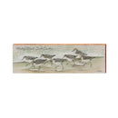 Hunting Island Art Lamay's Sand Pipers | Real Wood Art Print HUN3