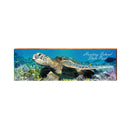 Hunting Island State Park Sea Turtle | Real Wood Art Print HUN3